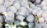 Purple, Botryoidal Grape Agate - Indonesia #55029-2
